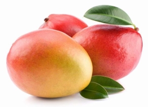 23 nėštumo savaitę vaikelio dydis pilvelyje lyg didelio mango vaisiaus